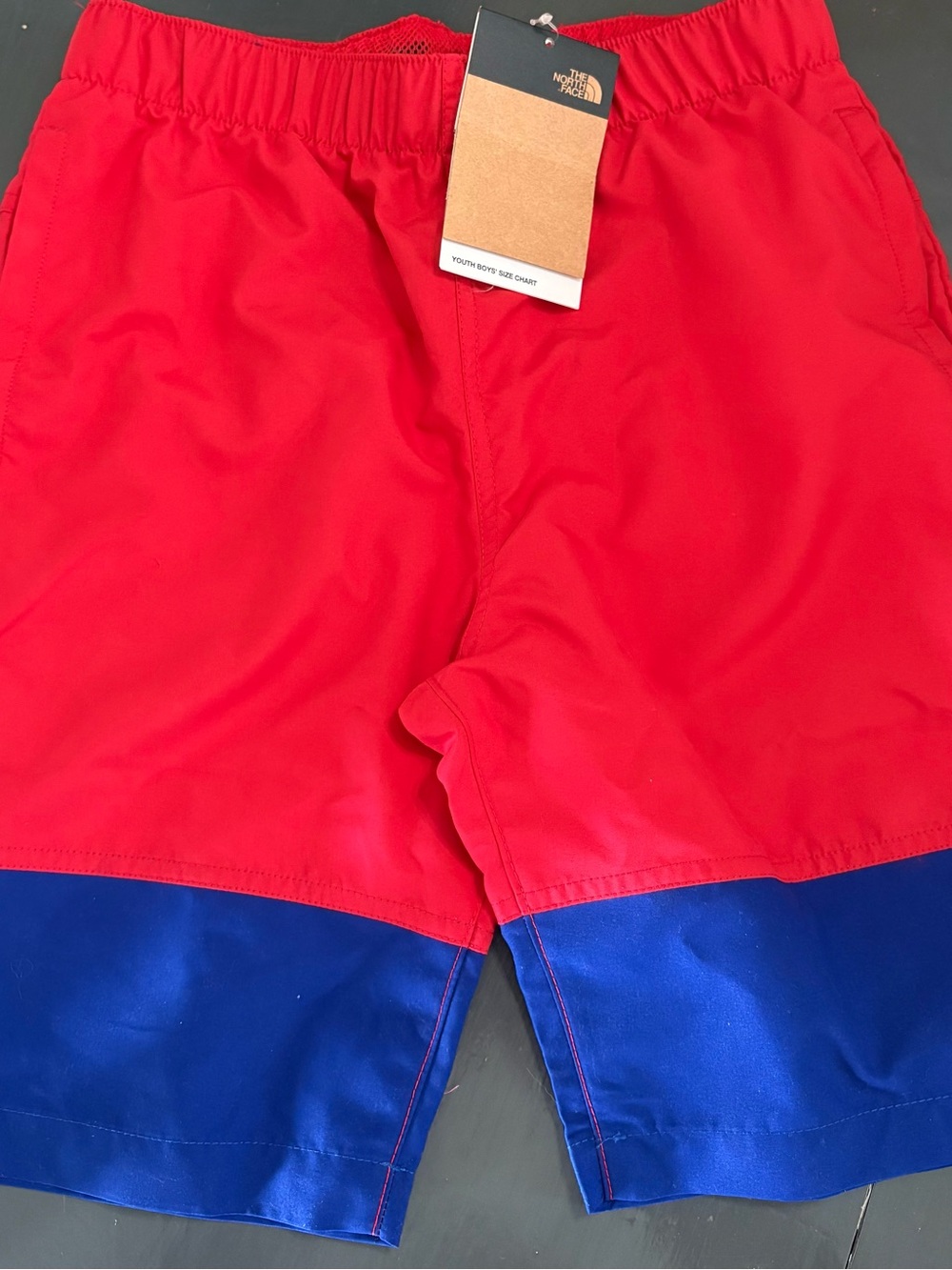 The North Face Red and Blue Kids Swim Trunks